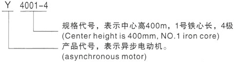 西安泰富西玛Y系列(H355-1000)高压YJTG-90L-2A/2.2KW三相异步电机型号说明