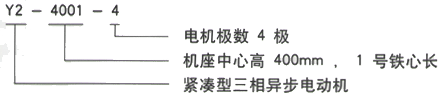 YR系列(H355-1000)高压YJTG-90L-2A/2.2KW三相异步电机西安西玛电机型号说明